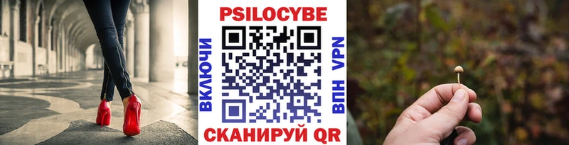 Галлюциногенные грибы Psilocybine cubensis  Купить закладки  Переславль-Залесский 